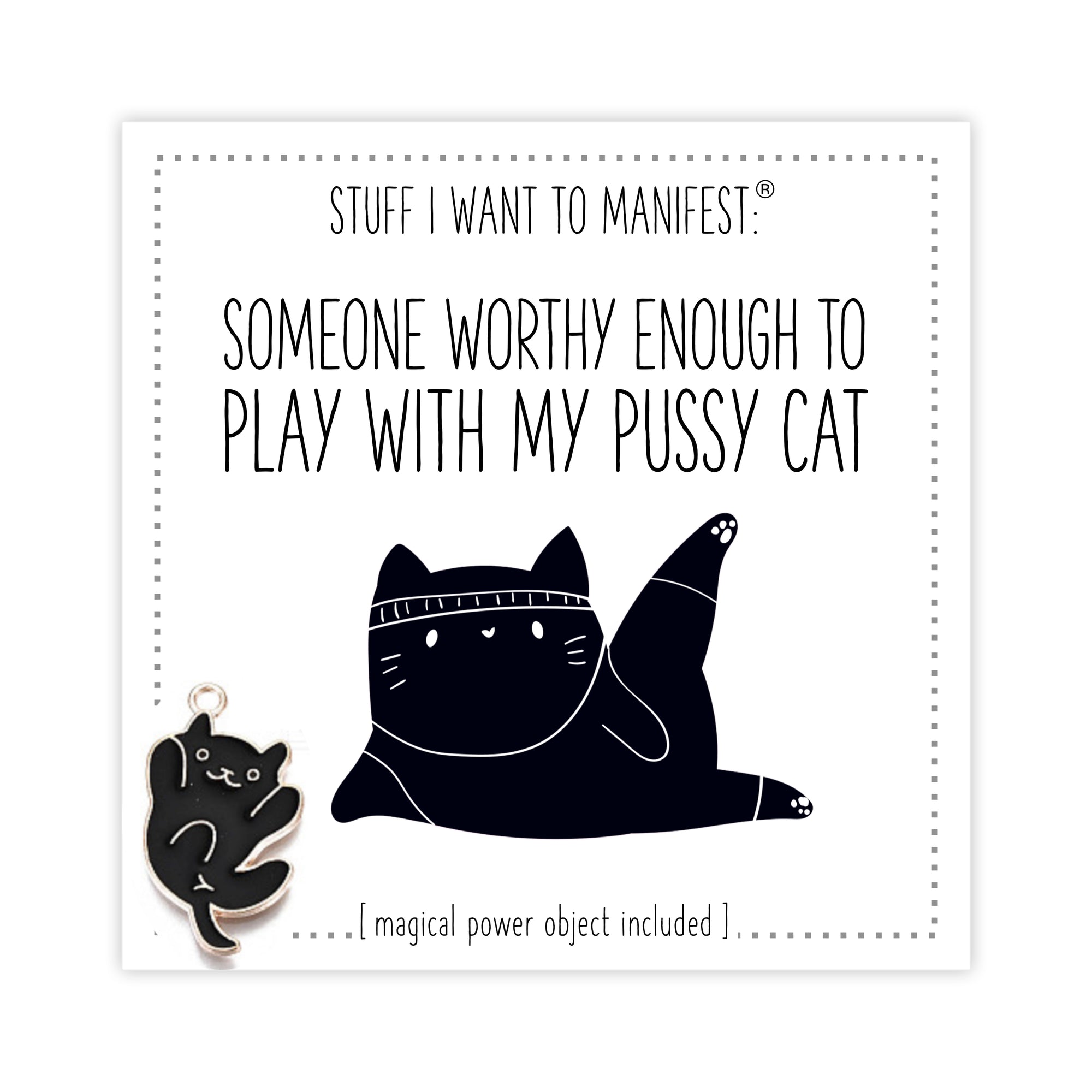 Stuff I Want To Manifest : Someone Worthy Enough To Play With My Pussycat