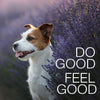 do good & feel good