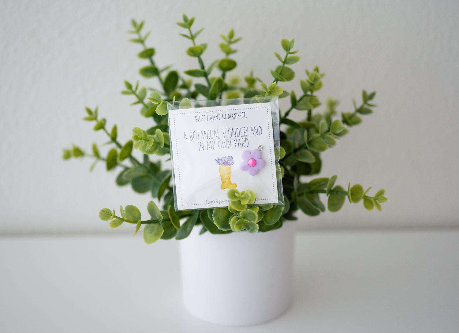 Stuff I Want To Manifest : To Keep At Least One Plant Alive