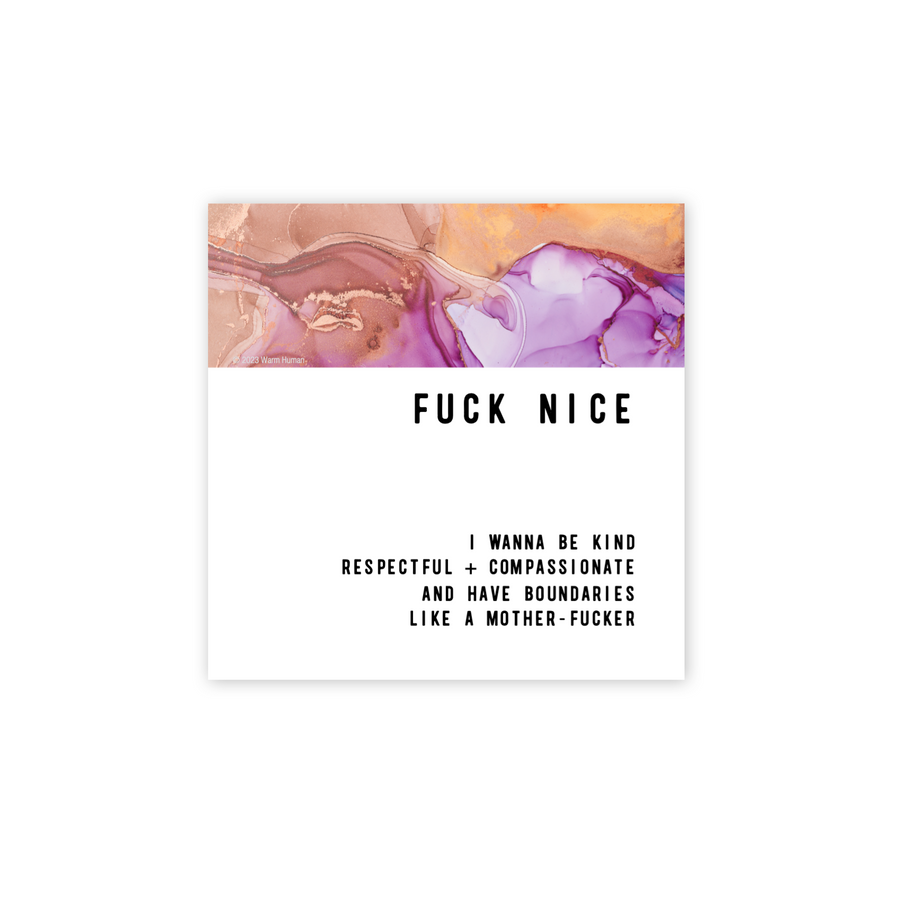 Fuck Nice Magnet