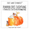 Stuff I Want To Manifest : Pumpkin Spice Everything