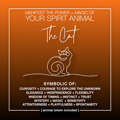Manifest the Power + Magic of Your Spirit Animal : The Cat