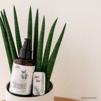 STAY WILD - The Be True To You Power Blend