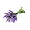Lavender Wearable Aromatherapy