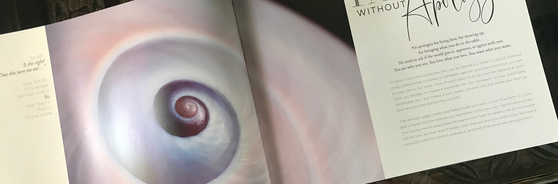 Book: Passion Without Apology - by Lisa Mazurek